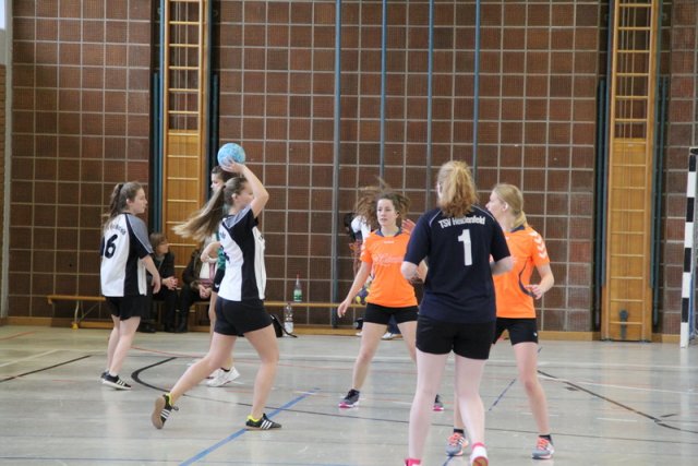 2017_02_19 Landesliga Frauen und Jugend 19